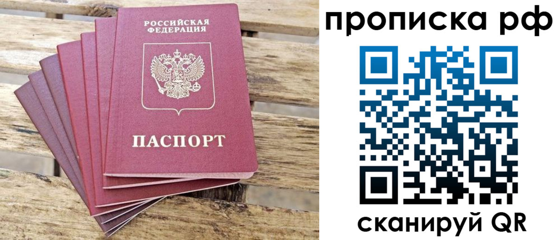 прописка гарантия в Гвардейске